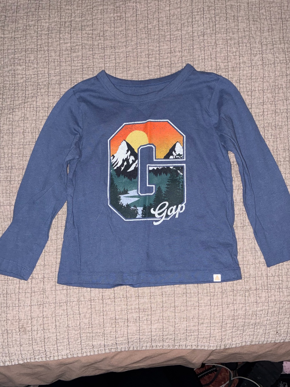 GAP Blue Crewneck Sweater with Scenic Graphic